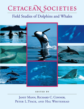 Paperback Cetacean Societies: Field Studies of Dolphins and Whales Book