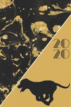 2020: 2020 Sunday Start Monthly Calendar and Organizer | Labrador  Gift for Women