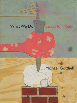 Paperback What We Do Book