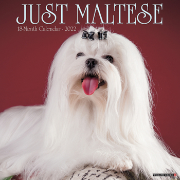 Calendar Just Maltese 2022 Wall Calendar (Dog Breed) Book