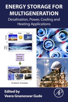 Paperback Energy Storage for Multigeneration: Desalination, Power, Cooling and Heating Applications Book