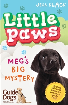 Paperback Meg's Big Mystery Book