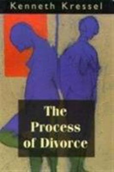 Paperback The Process of Divorce: Helping Couples Negotiate Settlements Book