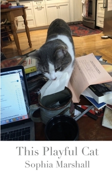 Paperback This Playful Cat Book