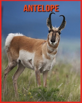 Antelope: Children Book of Fun Facts & Amazing Photos
