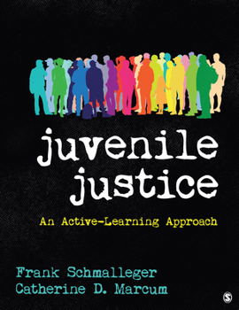 Paperback Juvenile Justice: An Active-Learning Approach Book