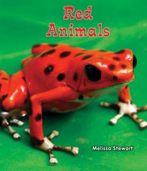 Paperback Red Animals Book