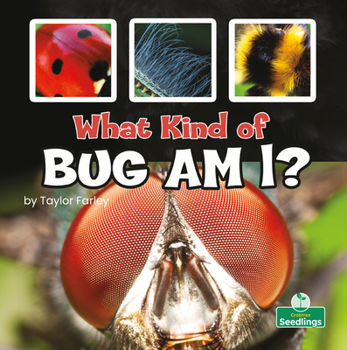 Library Binding What Kind of Bug Am I? Book