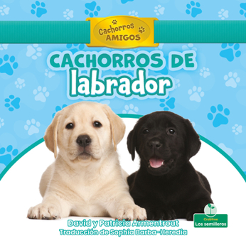 Paperback Cachorros de Labrador (Labrador Retriever Puppies) [Spanish] Book