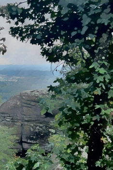 Canvas for - Whatever You Want - 4x6 - #16 : Create Your Own Book (Chattanooga, TN #2)