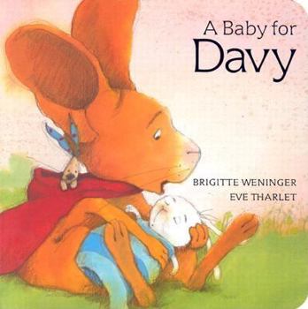 Board book A Baby for Davy Book
