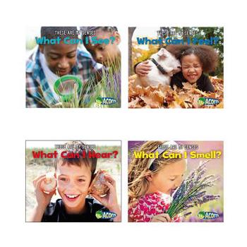 Misc. These Are My Senses Book