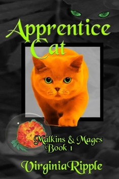 Paperback Apprentice Cat Book