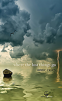 Paperback Where the Lost Things Go Book