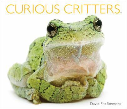 Hardcover Curious Critters Book