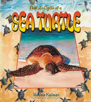 Hardcover Sea Turtle Book