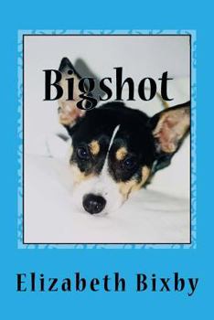 Paperback Bigshot Book