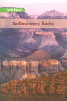 Paperback Sedimentary Rocks: Leveled Reader (Rigby on Deck Reading Libraries) Book