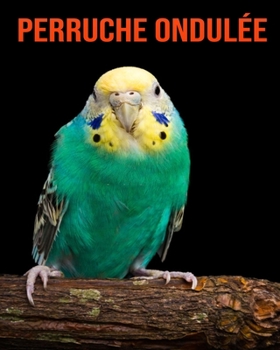 Paperback Perruche Ondul?e: Informations Etonnantes & Images [French] Book