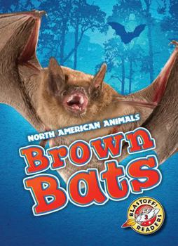 Brown Bats - Book  of the North American Animals