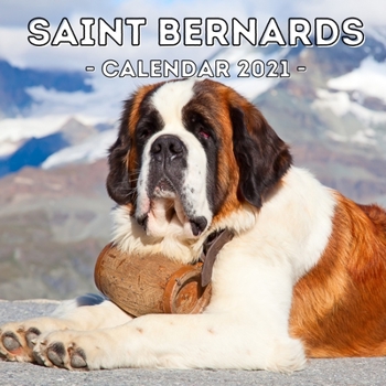 Saint Bernards: 2021 Wall Calendar, Cute Gift Idea For St.Bernard Dog Lovers Or Owners Men And Women