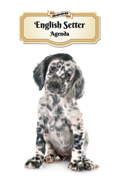 Paperback 2020 English Setter Agenda: 107 Pagine - Dimensioni DIN A5 - Pianificatore Settimanale - 12 Mesi - Due Pagine Per Settimana - Calendario - Diario [Italian] Book
