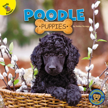 Paperback Poodle Puppies Book