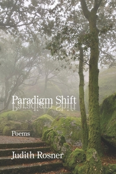Paperback Paradigm Shift Book