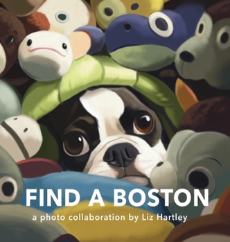 Hardcover Find a Boston Book