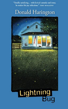 Lightning Bug - Book #1 of the Stay More