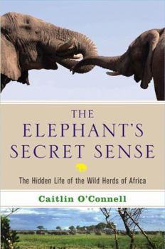 Hardcover The Elephant's Secret Sense: The Hidden Life of the Wild Herds of Africa Book