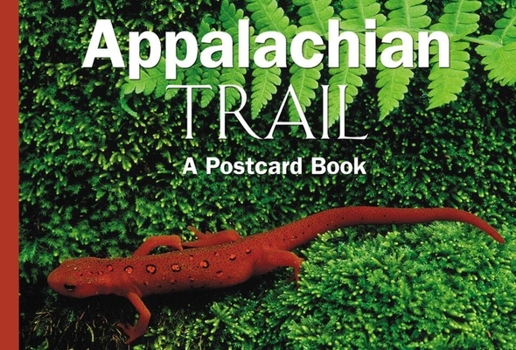 Paperback Blue Ridge Parkway: A Postcard Book