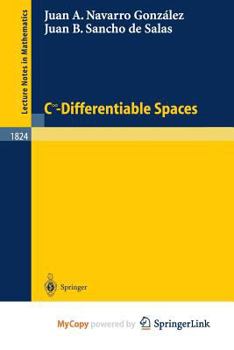 Paperback C^infinity - Differentiable Spaces Book