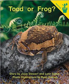 Paperback Early Reader: Toad or Frog? Book