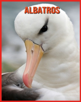 Albatros: Informations Int?ressantes Concernant les Albatros