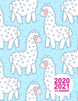 2020 2021 Planner: Pretty Two Year Monthly Pocket Calendar 2020-2021 | 24 Months Agenda Planner | 24 Months Jan 2020 to Dec 2021 | Monthly, Weekly and Daily Planner | Product Code CX 0006793