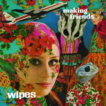 Vinyl Wipes   Making Friends Book