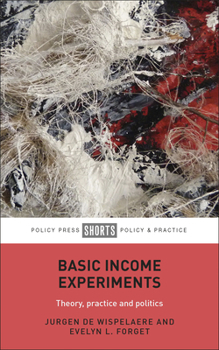 Paperback Basic Income Experiments: Theory, Practice and Politics Book