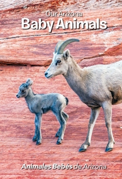 Board book Our Arizona: Baby Animals Book