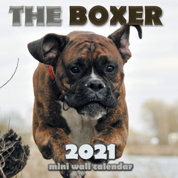 Paperback The Boxer 2021 Mini Wall Calendar Book