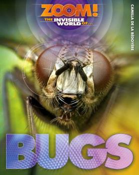 Paperback Invisible World of Bugs Book