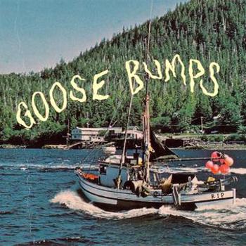Vinyl Goose bumps Book
