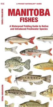 Paperback Manitoba Fishes Book
