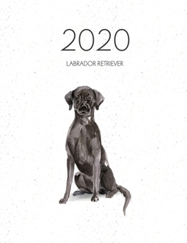 2020 Labrador Retriever: Dated Weekly Planner With To Do Notes & Dog Quotes - Black Labrador Retriever (Awesome Calendar Planners for Dog Owners)