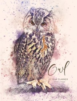 2020-2022 3 Year Planner Nocturnal Owl Monthly Calendar Goals Agenda Schedule Organizer: 36 Months Calendar; Appointment Diary Journal With Address Book, Password Log, Notes, Julian Dates & Inspiratio