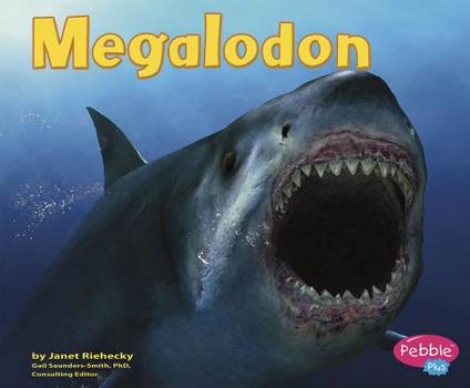 Paperback Megalodon Book