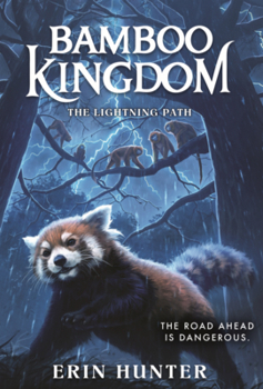 Library Binding Lightning Path Book