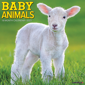 Calendar Baby Animals 2023 Wall Calendar Book