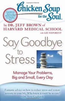 Paperback Chicken Soup for the Soul: Say Goodbye to Stress: Manage Your Problems, Big and Small, Every Day Book