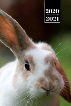 Rabbit Bunny Hare Rodent Week Planner Weekly Organizer Calendar 2020 / 2021 - Floppy Ear: Cute Wildlife Animal Pet Bullet Journal Notebook Diary in 6” x 9” Inch Pocket Size